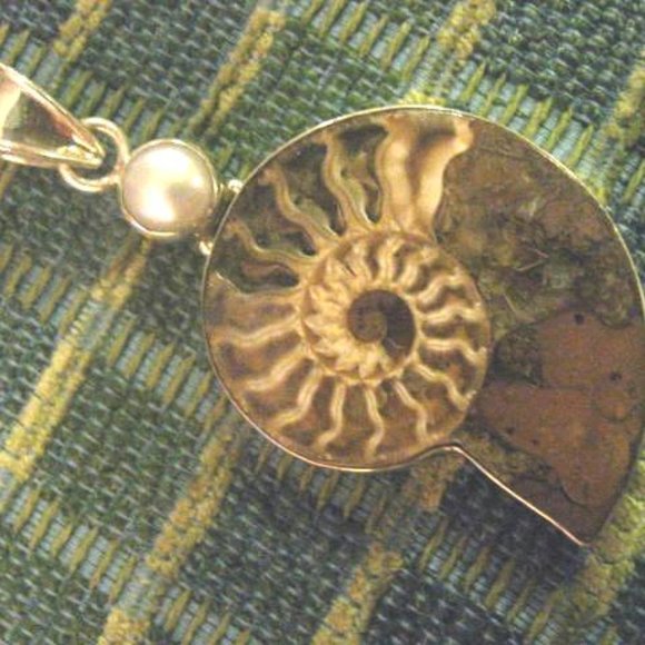 FOSSIL Pendant Shell Beautiful - Picture 4 of 5